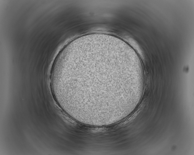 X0000097641435200803281113