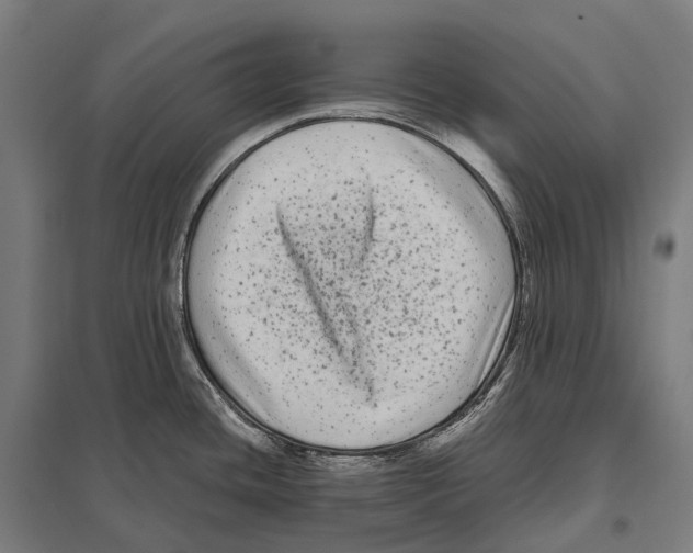 X0000097641436200803281113