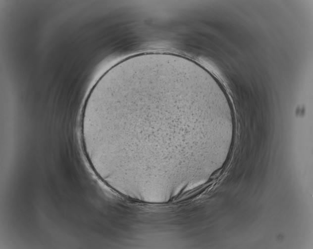 X0000097641440200803281113