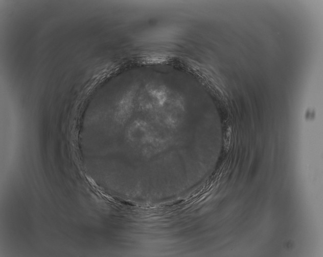 X0000097641441200803281113