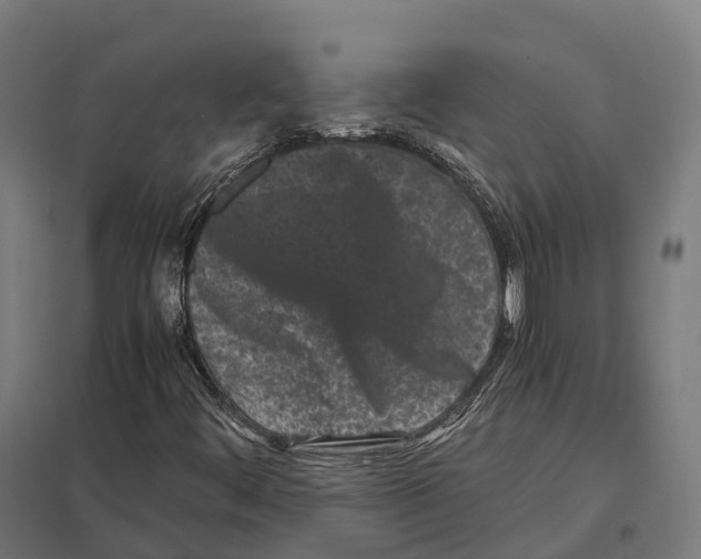 X0000097641444200803281113