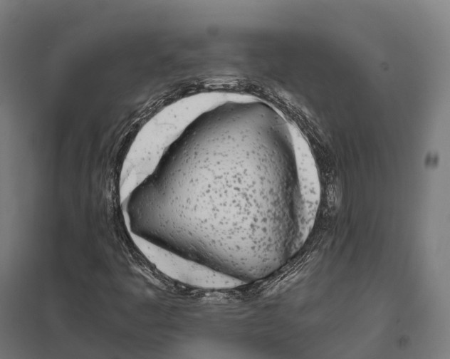 X0000097641445200803281112