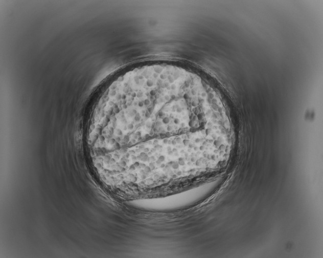 X0000097641450200803281112