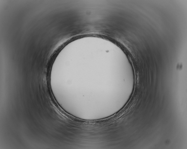 X0000097641452200803281112