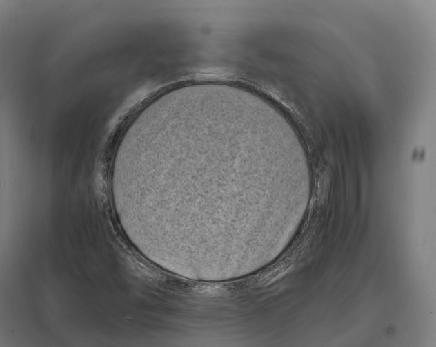 X0000097641454200803281112