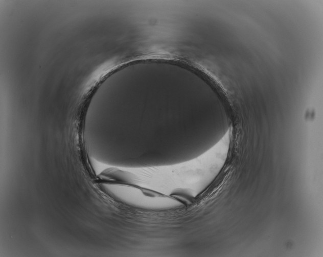 X0000097641455200803281112