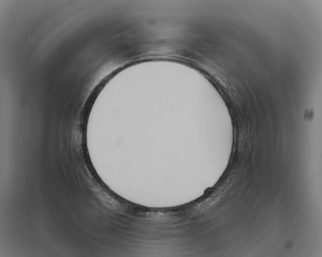 X0000097641458200803281112