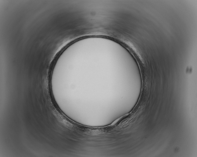 X0000097641460200803281112