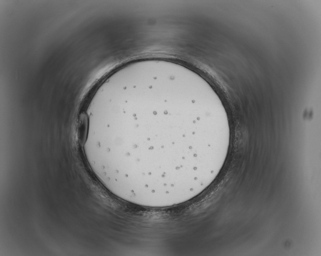 X0000097641461200803281112