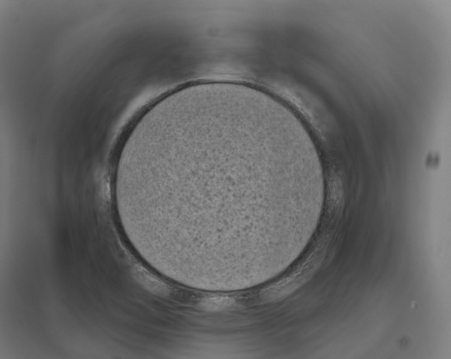 X0000097641462200803281112