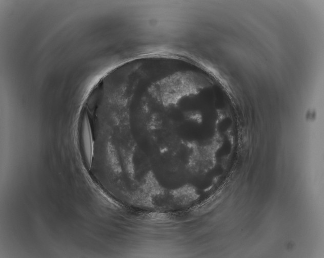 X0000097641463200803281112