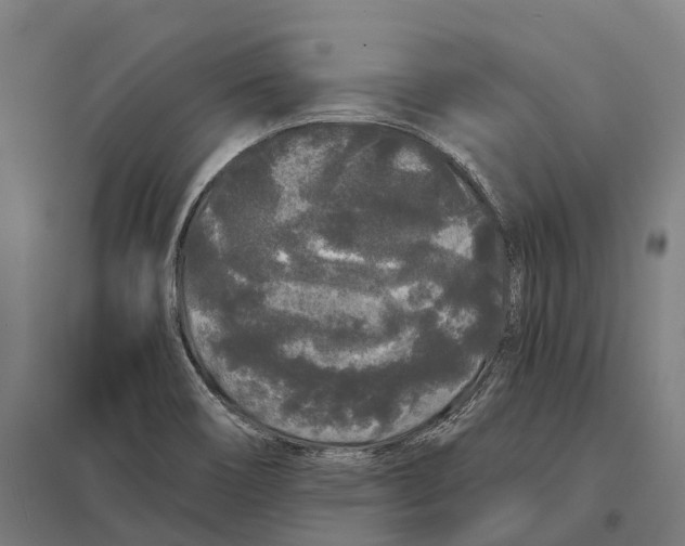 X0000097641466200803281112