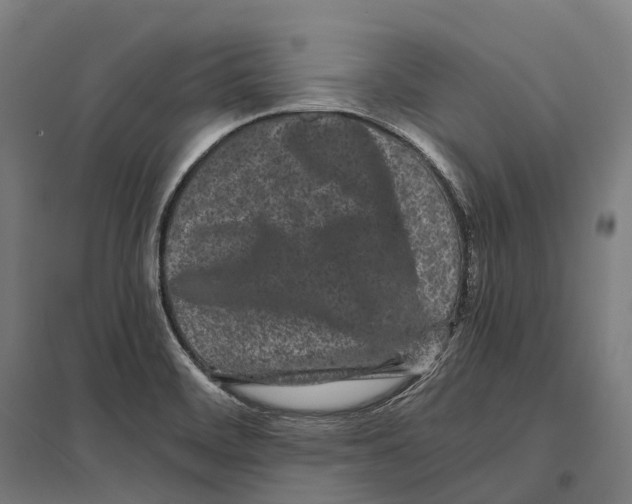 X0000097641468200803281112