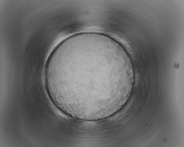 X0000097641470200803281112