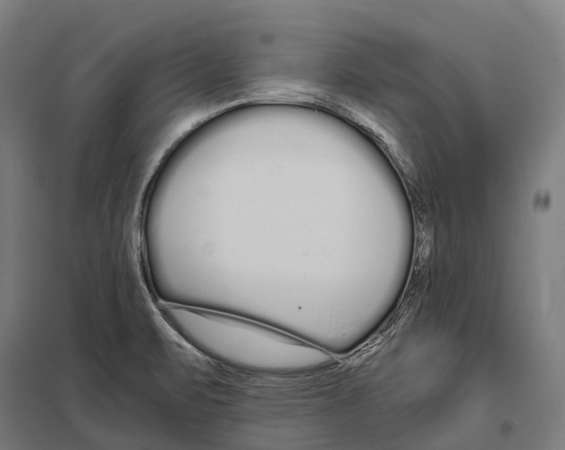 X0000097641471200803281112