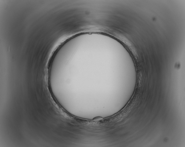 X0000097641472200803281112