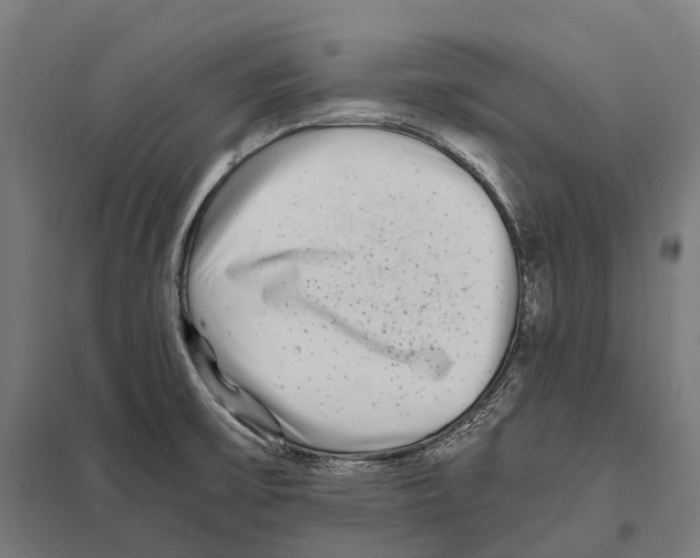 X0000097641475200803281112