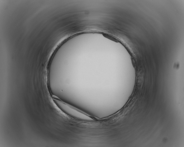 X0000097641476200803281112