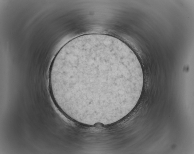 X0000097641479200803281112