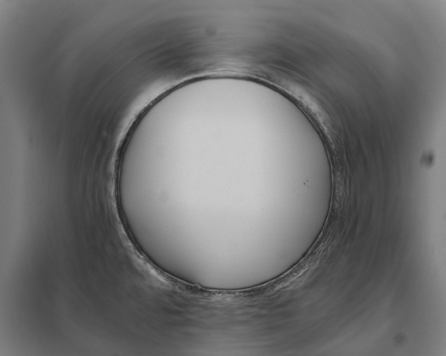 X0000097641480200803281112