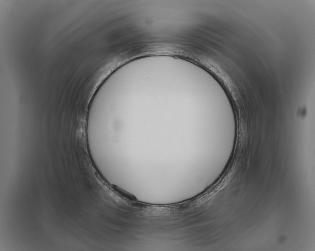 X0000097641481200803281112