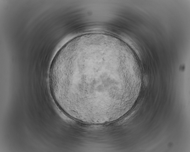 X0000097641482200803281112