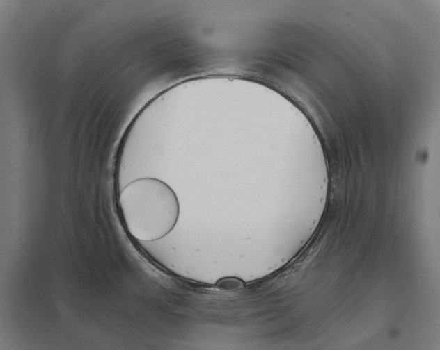 X0000097641483200803281112