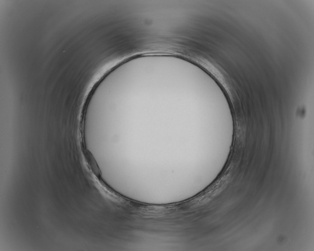 X0000097641485200803281112