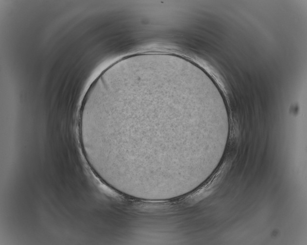 X0000097641486200803281112