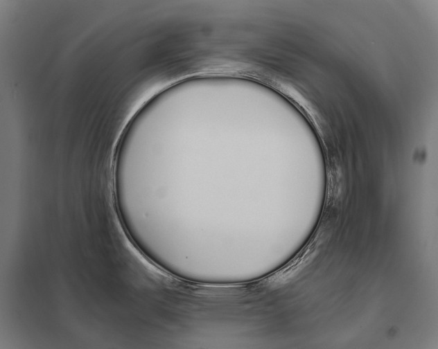 X0000097641487200803281112