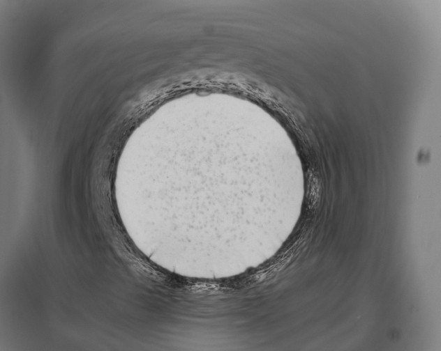 X0000097641489200803281111