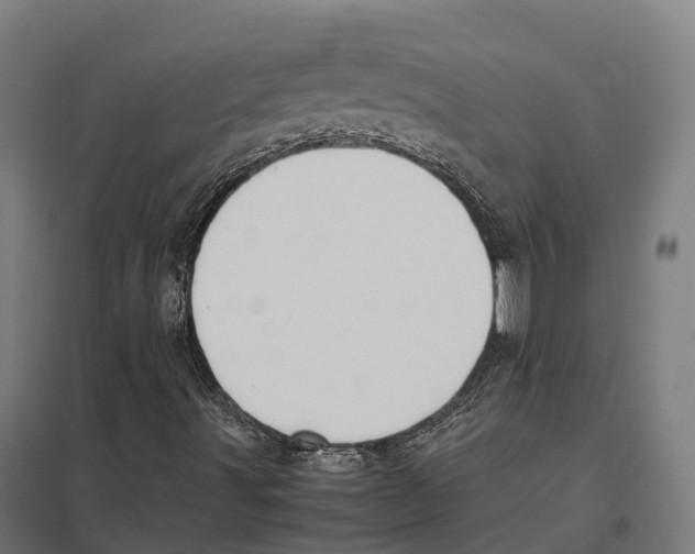 X0000097641491200803281111