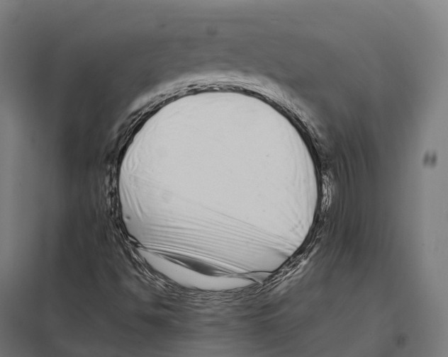 X0000097641494200803281111