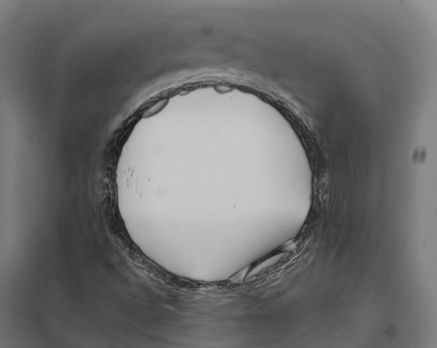 X0000097641496200803281111