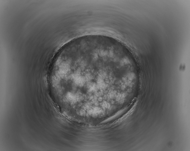 X0000097641497200803281111