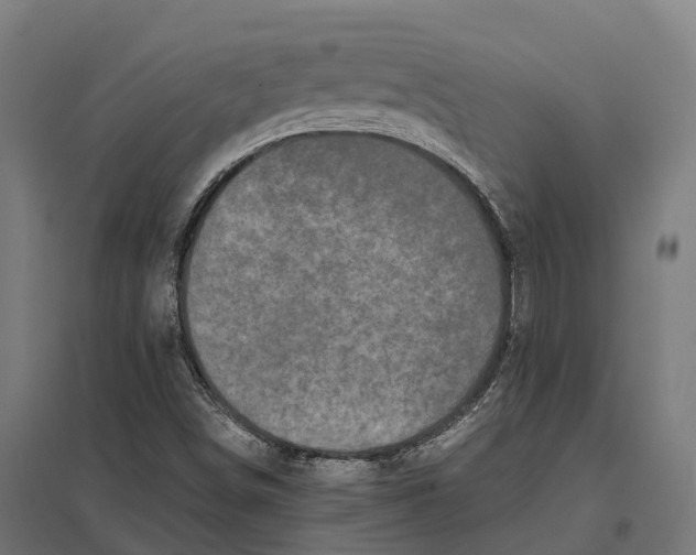 X0000097641498200803281111