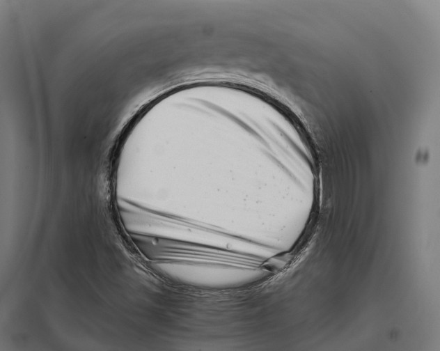 X0000097641501200803281111