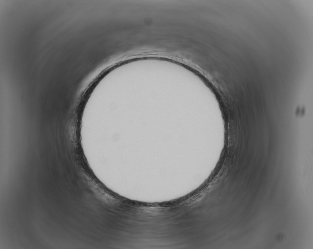 X0000097641502200803281111