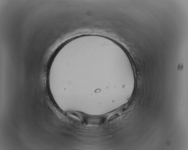 X0000097641503200803281111