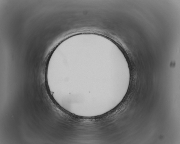 X0000097641504200803281111