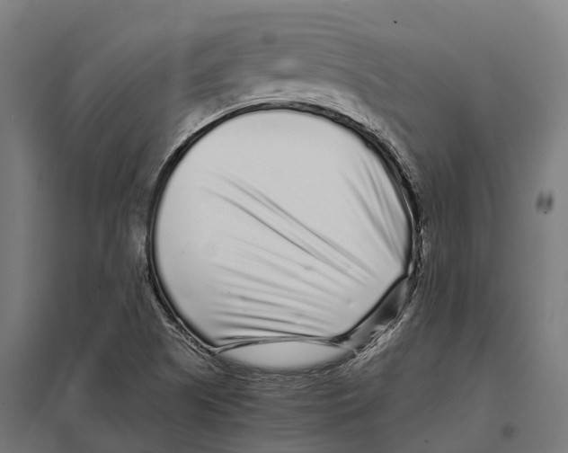 X0000097641505200803281111