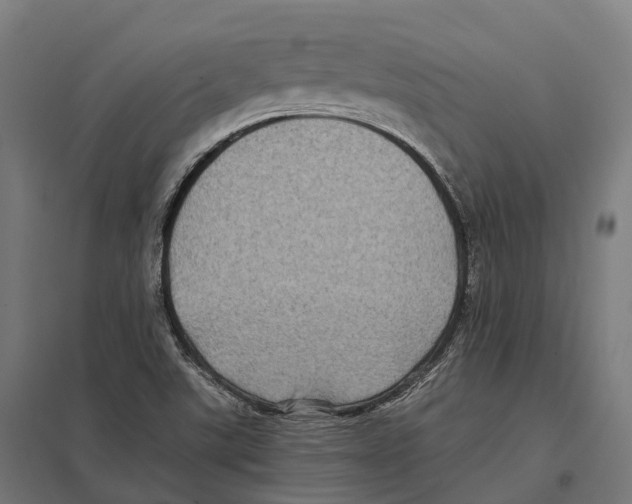 X0000097641507200803281111