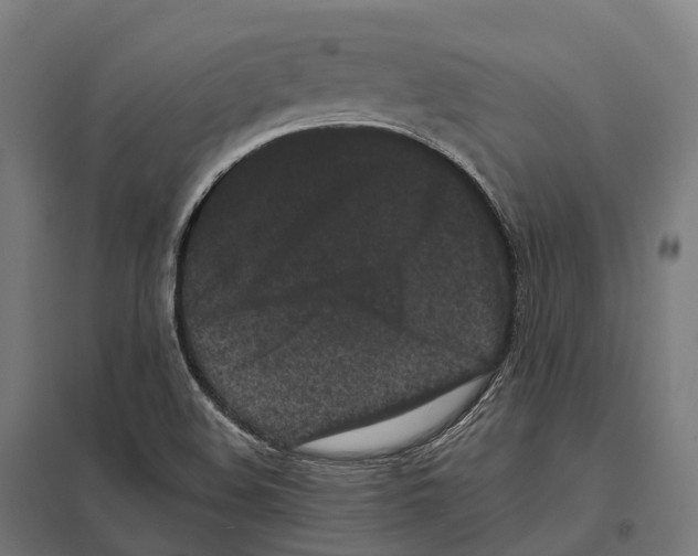 X0000097641508200803281111