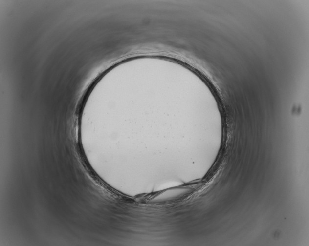 X0000097641509200803281111