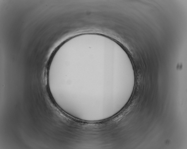 X0000097641510200803281111