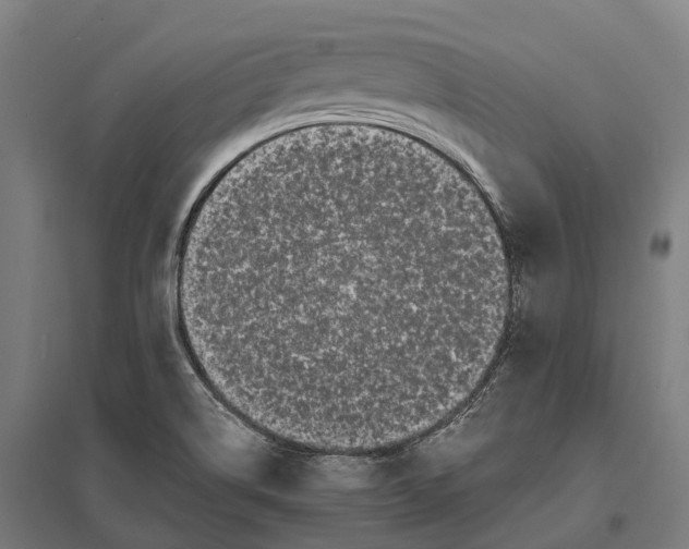 X0000097641514200803281111