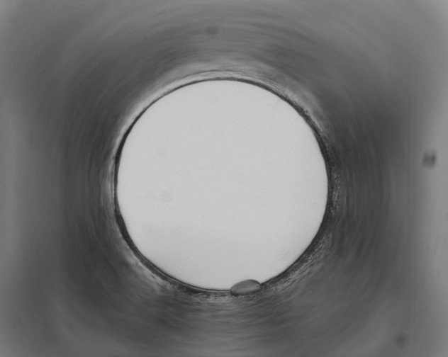 X0000097641516200803281111