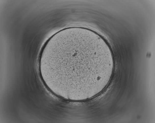 X0000097641517200803281111