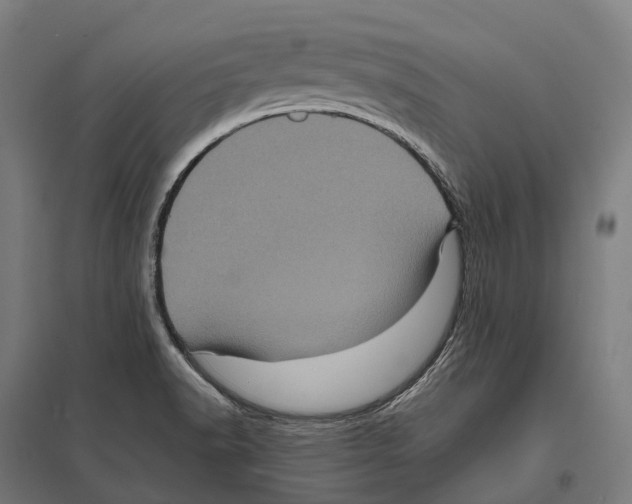 X0000097641518200803281111