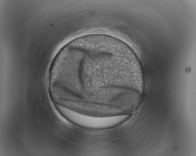 X0000097641519200803281111